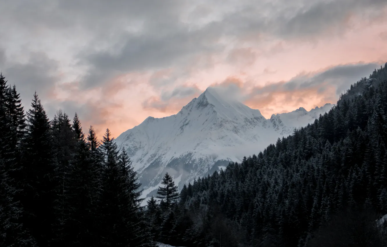 Photo wallpaper winter, forest, the sky, clouds, snow, trees, sunset, mountains