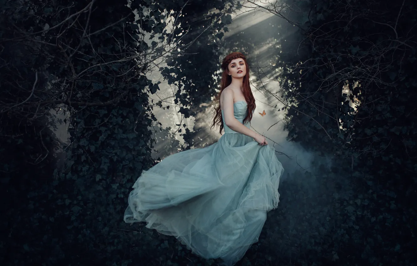 Photo wallpaper forest, girl, butterfly, dress, Princess, Bird Man