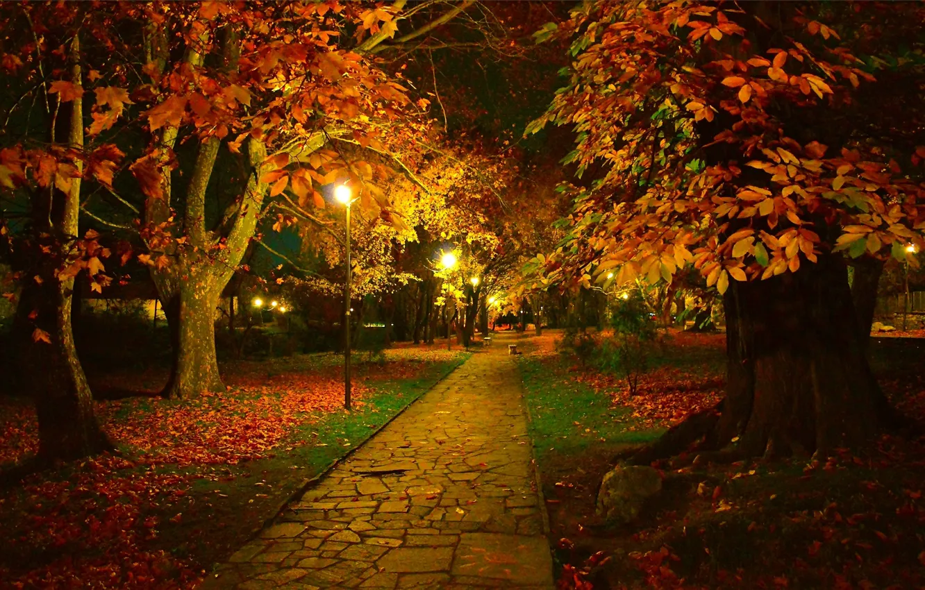 Photo wallpaper Night, Autumn, Trees, Lights, Park, Fall, Foliage, Track