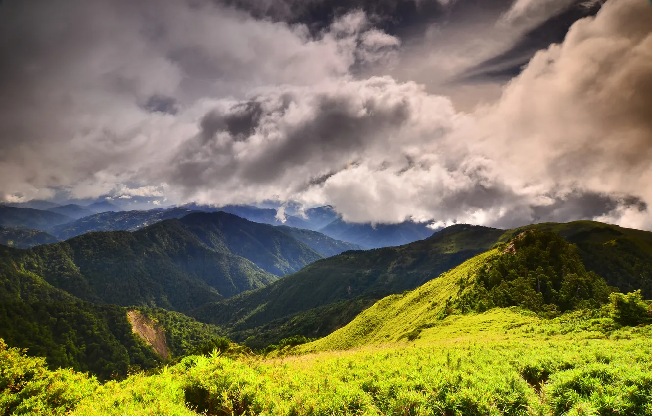 Photo wallpaper forest, clouds, mountains, clouds, vegetation