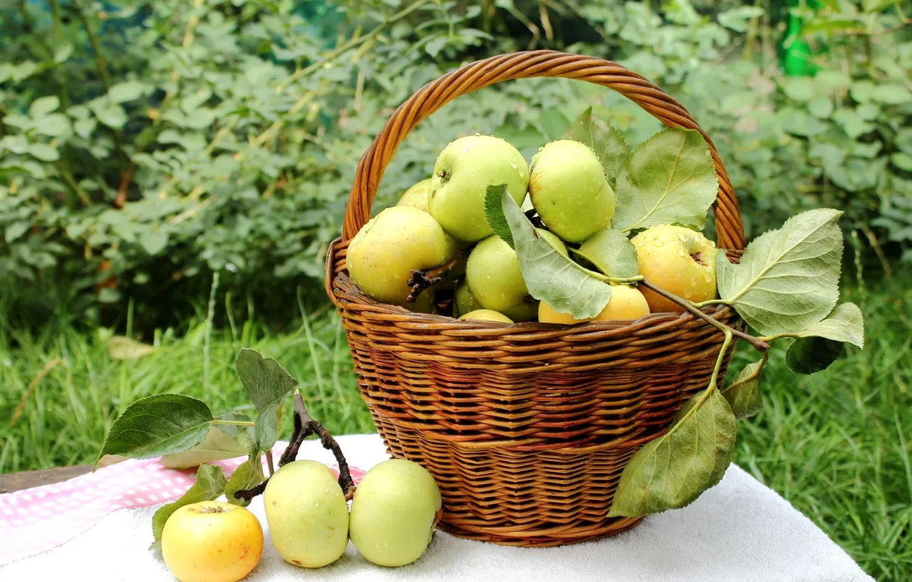 Photo wallpaper drops, basket, apples, harvest, fruit