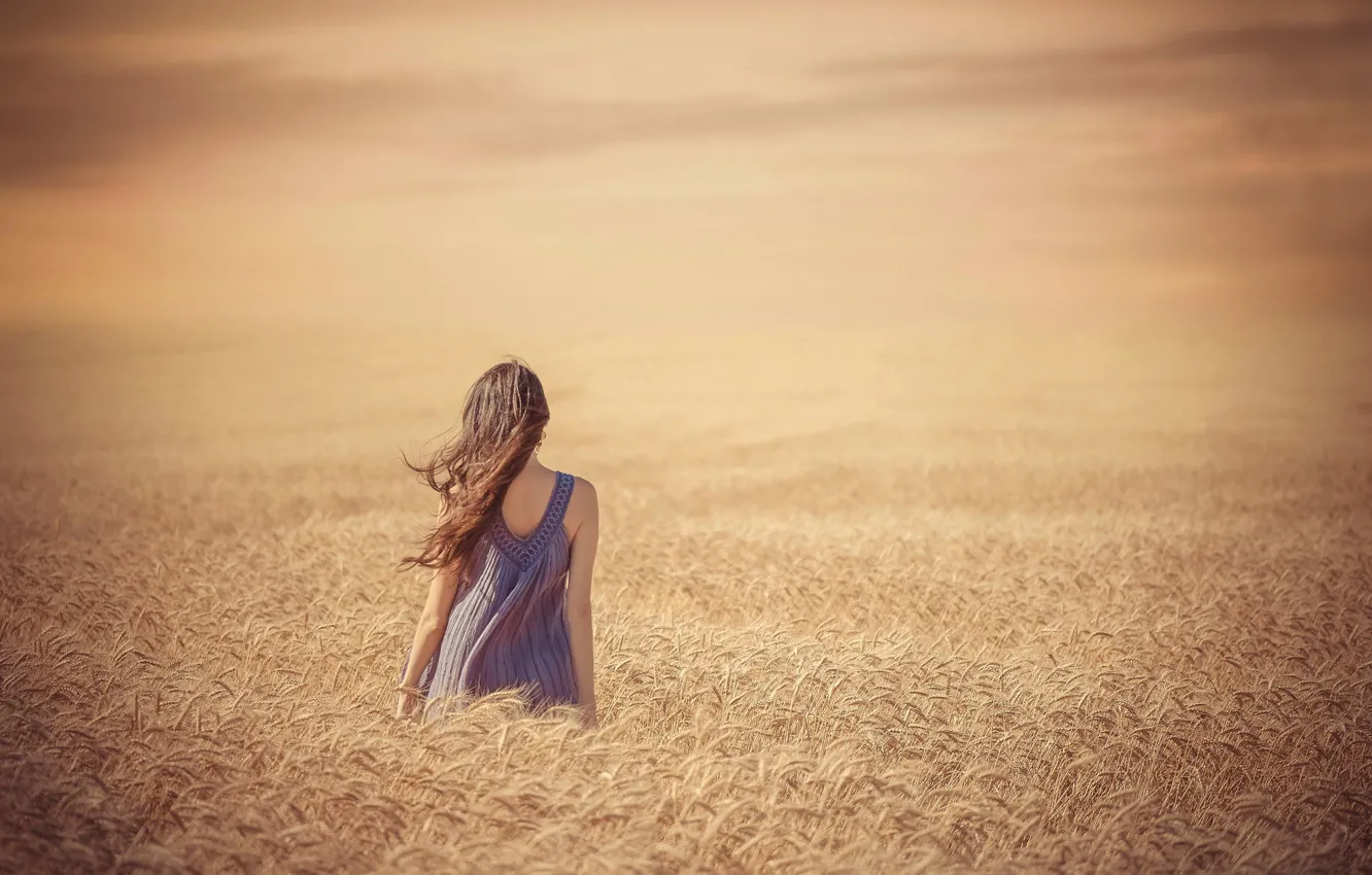 Photo wallpaper field, summer, girl, endless