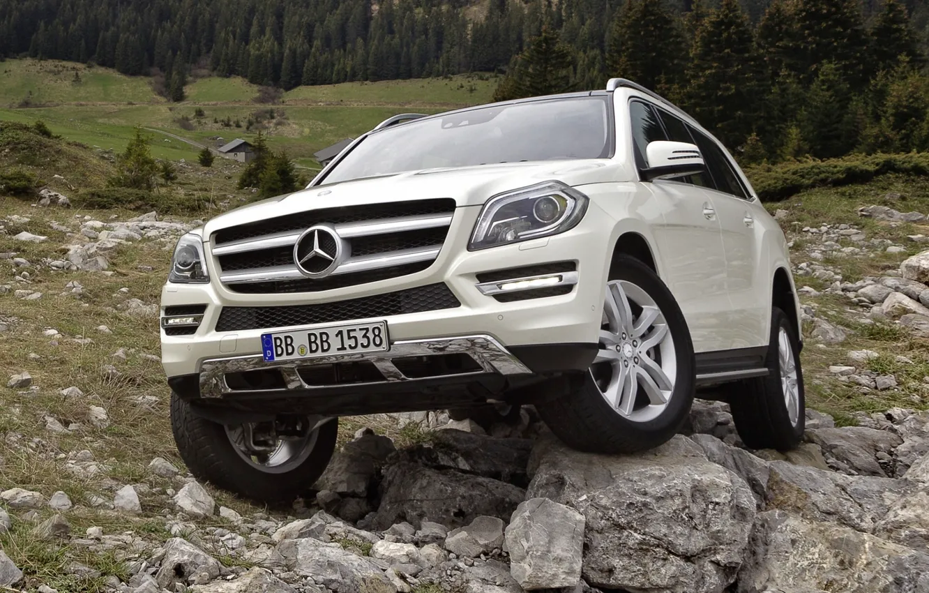 Photo wallpaper forest, white, stones, Mercedes-Benz, jeep, SUV, 500, the front