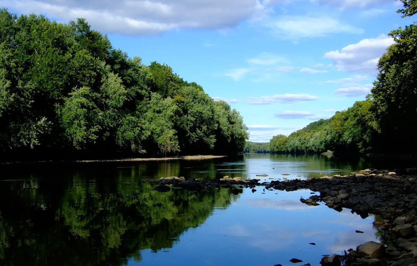Photo wallpaper forest, river, stones