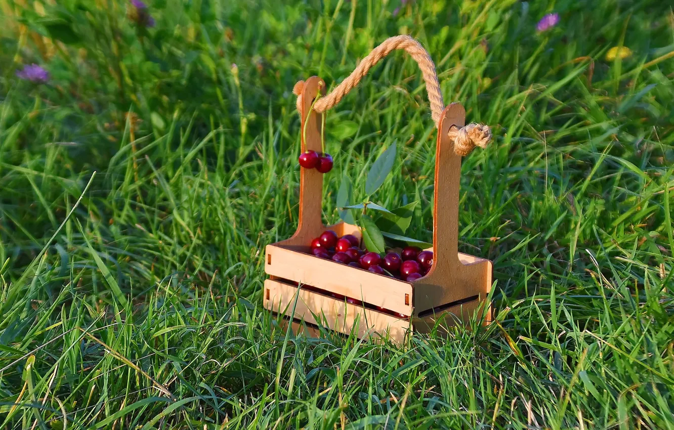 Photo wallpaper summer, cherry, still life