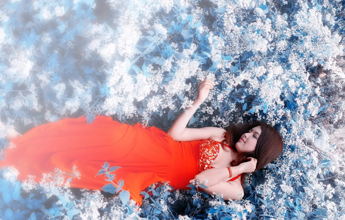 Photo wallpaper girl, nature, Asian