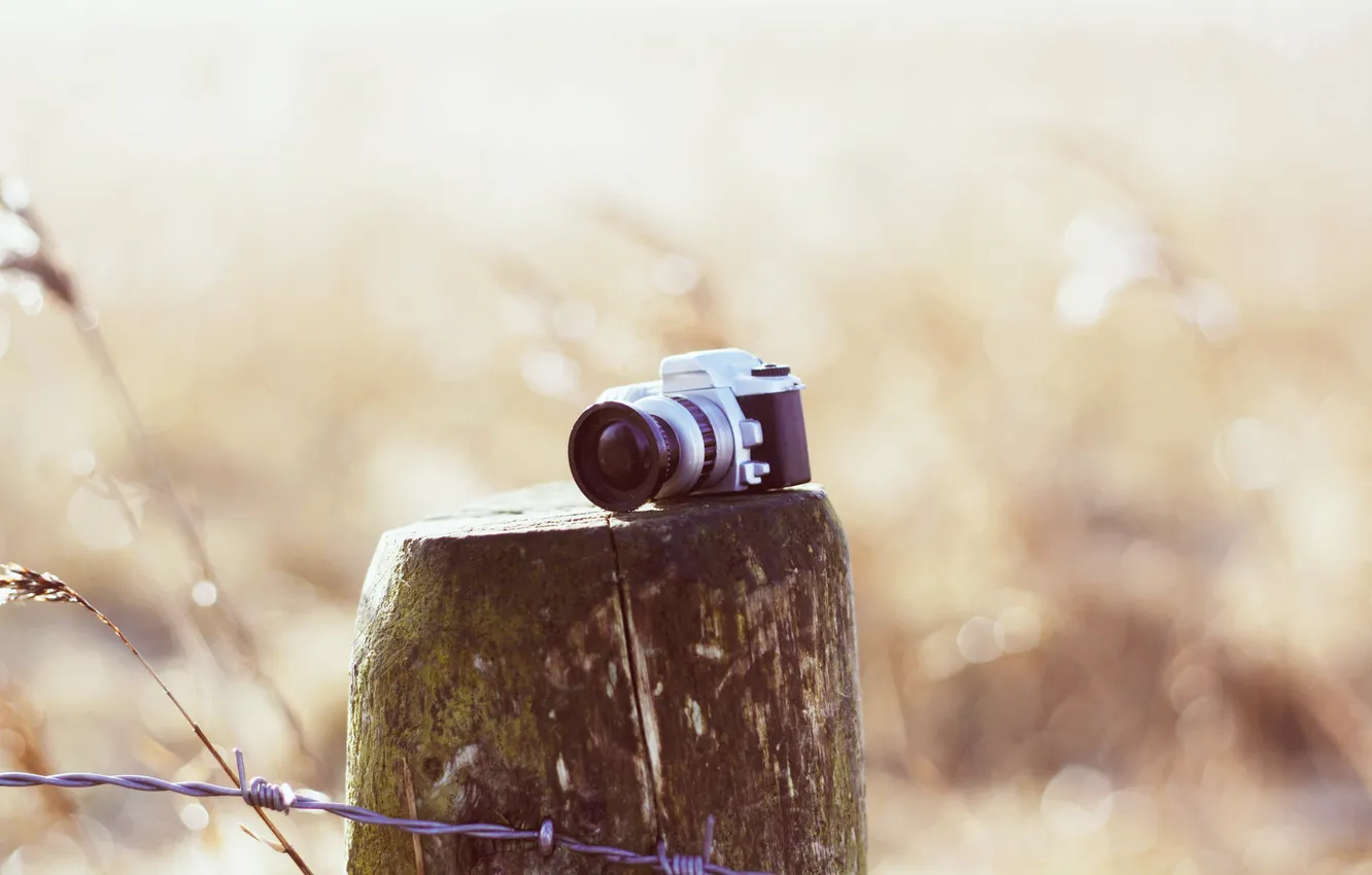 Photo wallpaper field, grass, background, the fence, color, wire, camera, columns