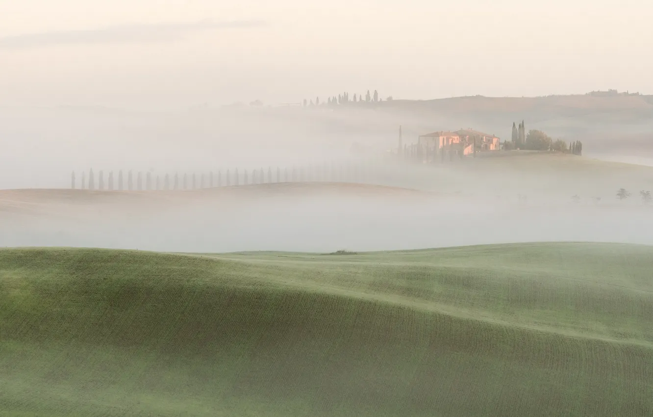 Photo wallpaper field, landscape, fog, morning