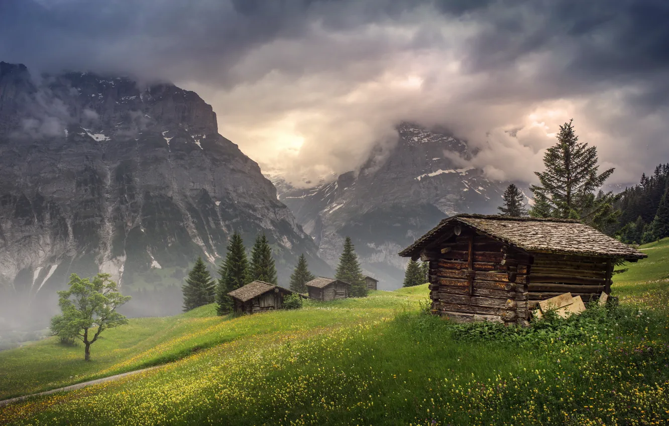Photo wallpaper clouds, flowers, fog, Switzerland, valley, house, in the Canton of Bern, Grindelwald