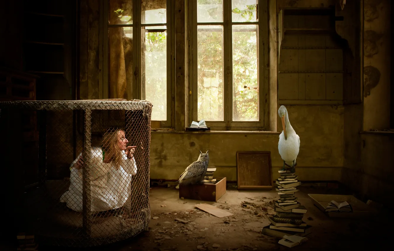 Photo wallpaper girl, birds, fantasy, room, cell
