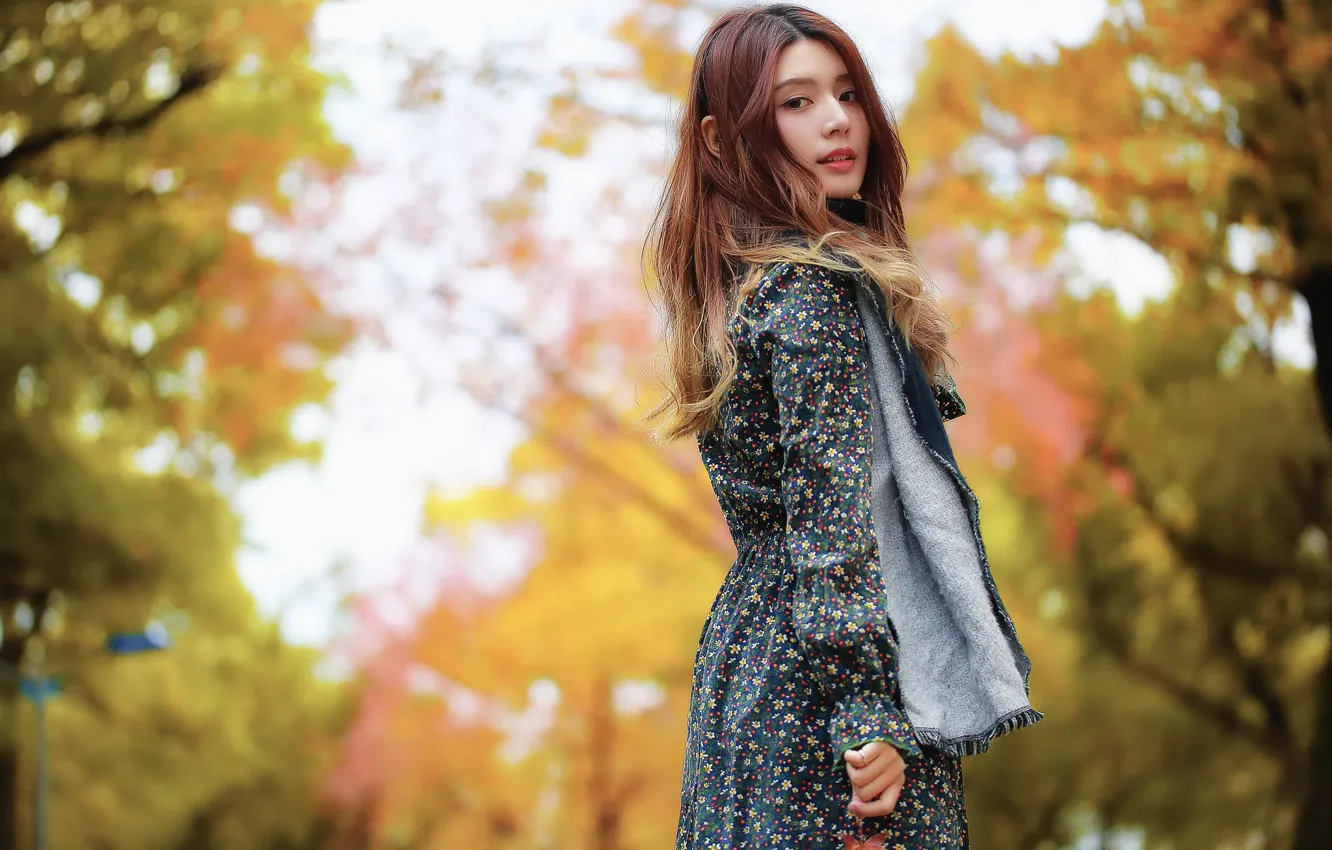 Photo wallpaper autumn, girl, Park, Asian, alley, bokeh
