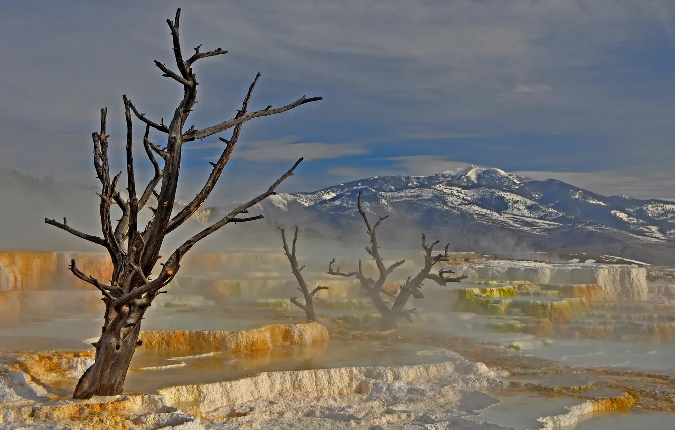 Photo wallpaper the sky, trees, mountains, cascade, geyser