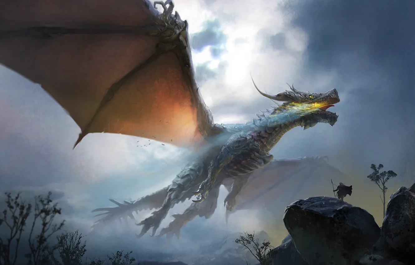 Photo wallpaper flight, fiction, dragon, wings, art, lizard, fantasy, monster