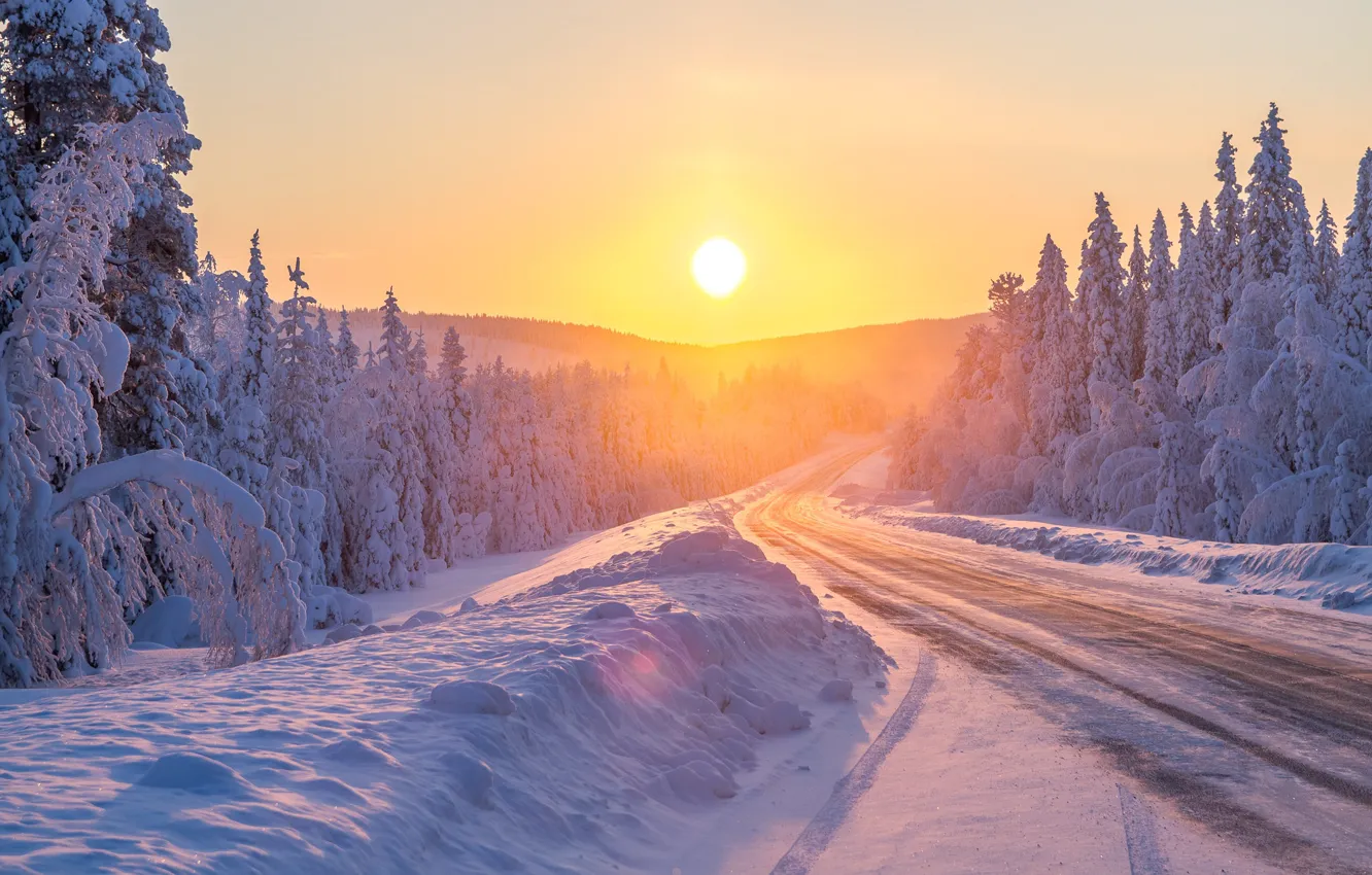 Photo wallpaper winter, road, forest, the sun, snow, nature, winter, morning