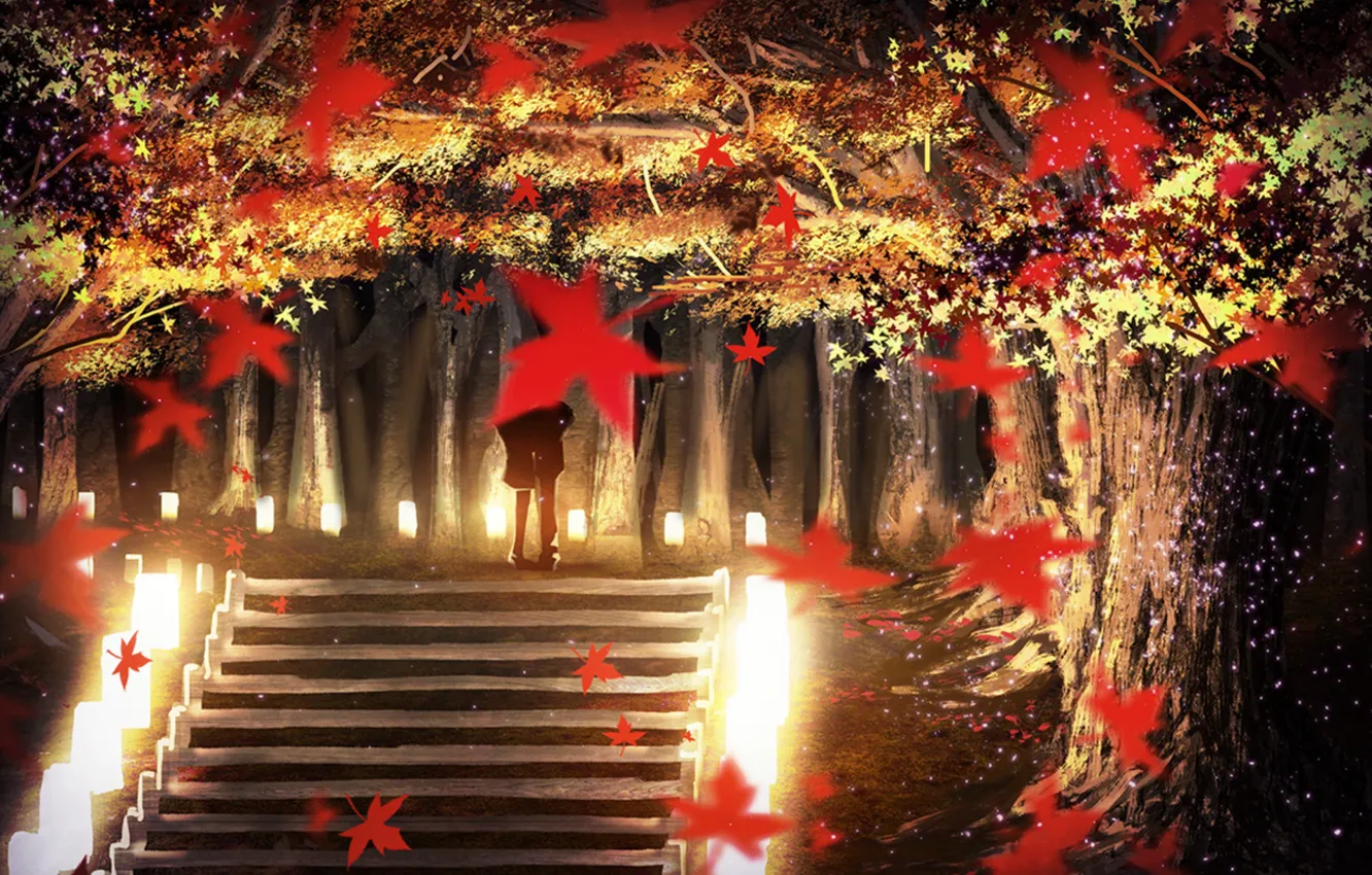 Photo wallpaper autumn, trees, Park, the evening, lights, pair, ladder, alley