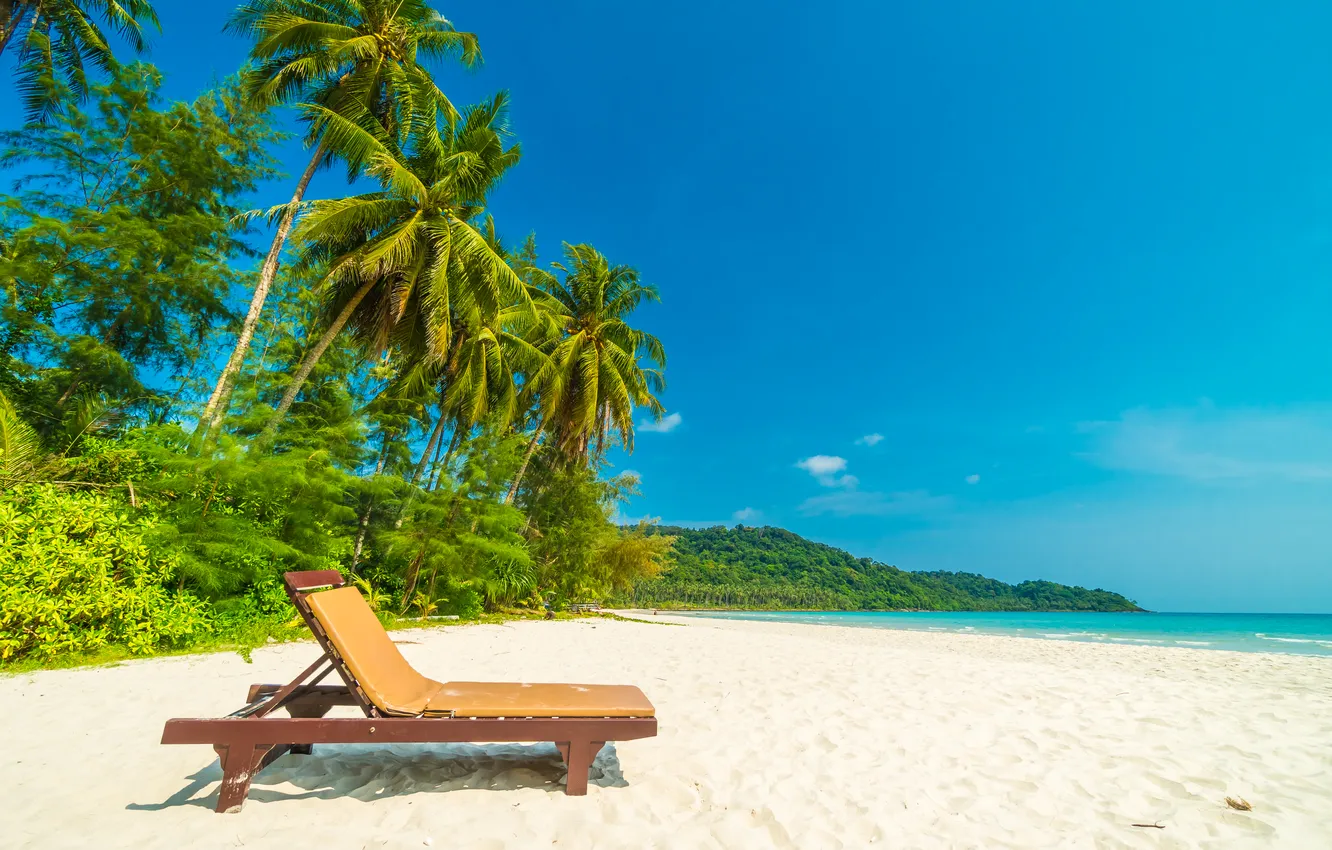 Photo wallpaper sand, sea, wave, beach, summer, the sky, palm trees, shore