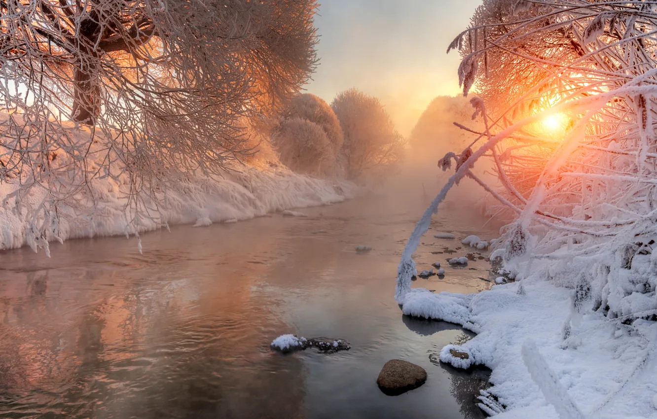 Photo wallpaper winter, trees, landscape, nature, river, dawn, Snow