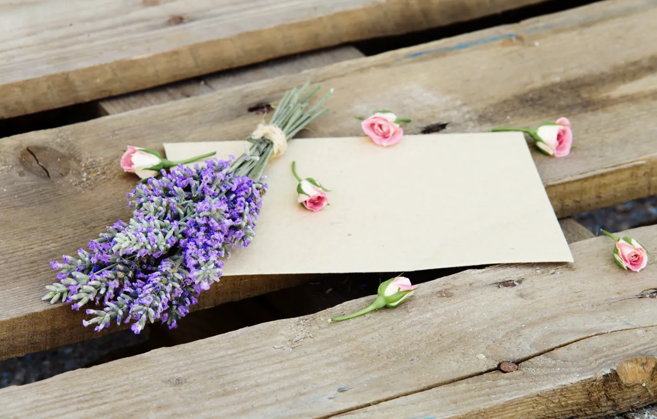 Photo wallpaper flowers, lavender, the envelope, roses