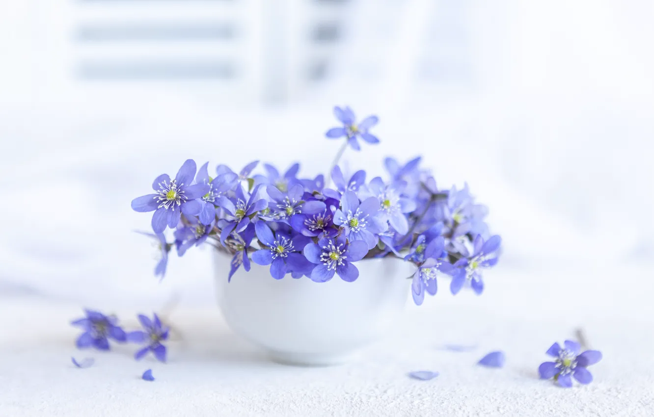 Photo wallpaper gentle, bouquet, spring, vase, hepatic