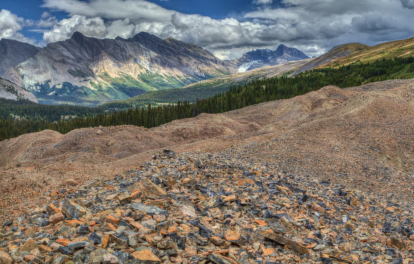 Photo wallpaper the sky, clouds, trees, mountains, stones, slope