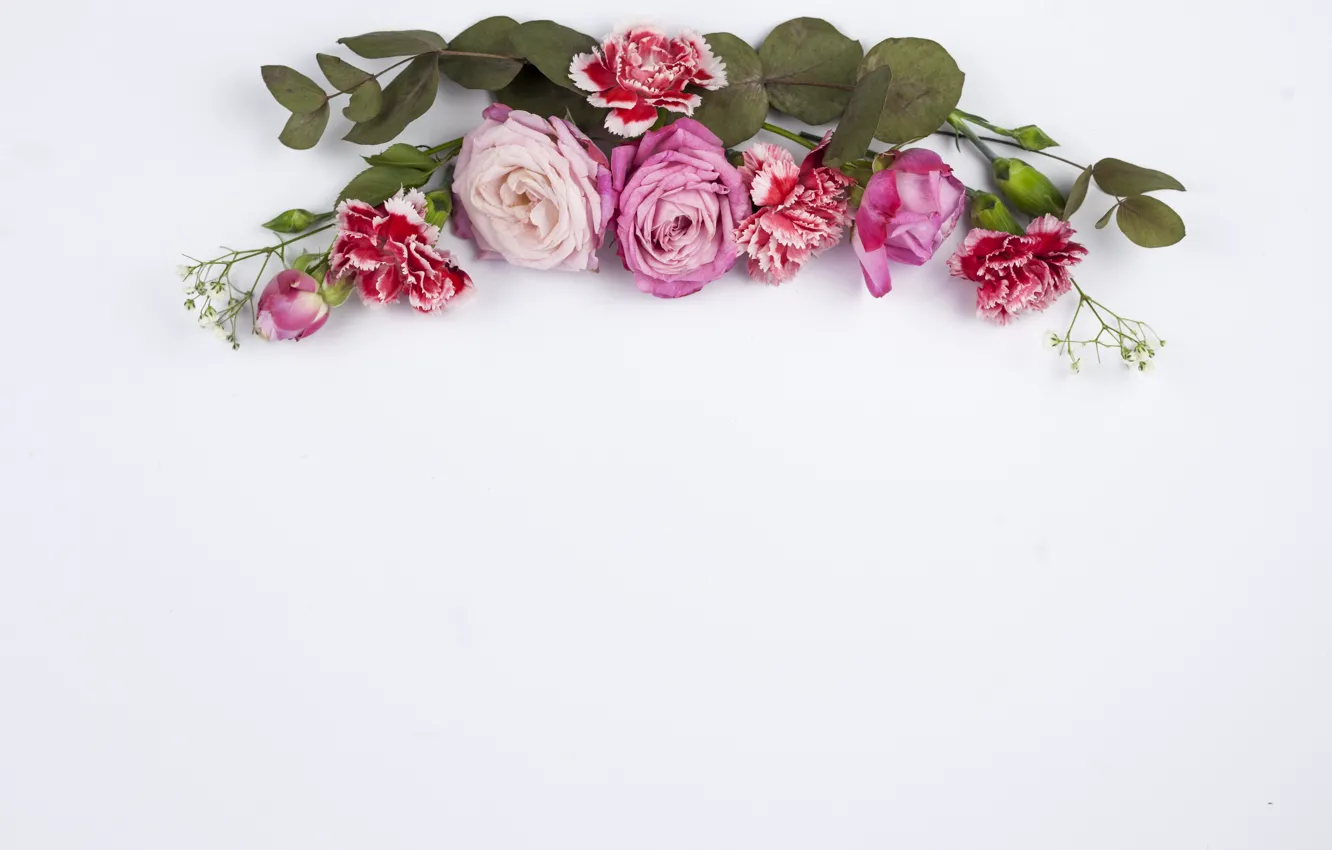 Photo wallpaper white, flowers, background, roses, red, pink, buds, composition