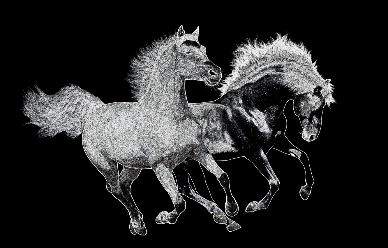 Photo wallpaper horse, horse, contour plot