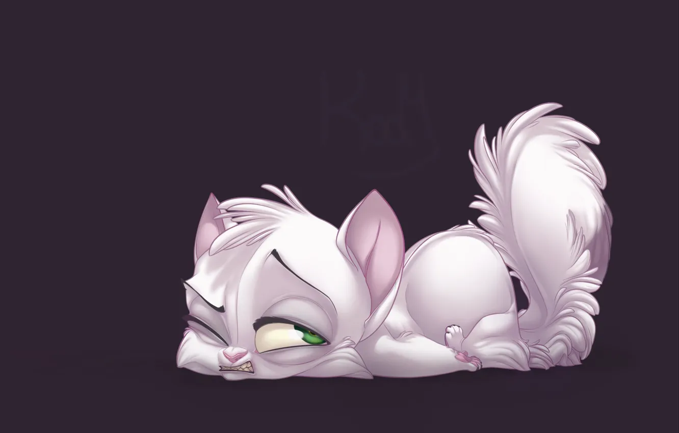 Photo wallpaper cat, the situation, Kody, Mary Virgin