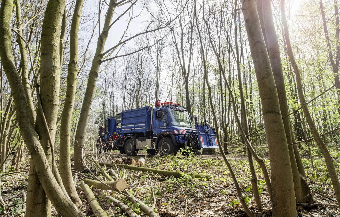 Photo wallpaper forest, trees, Mercedes-Benz, truck, the trailer, equipment, machinery, Unimog