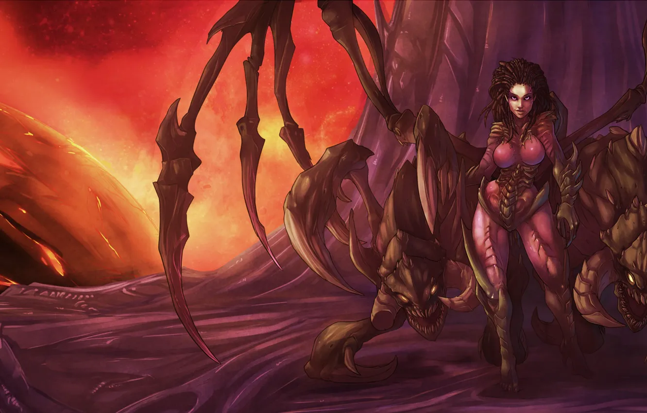 Photo wallpaper starcraft, zerg, Blizzard, sarah kerrigan, Queen of Blades