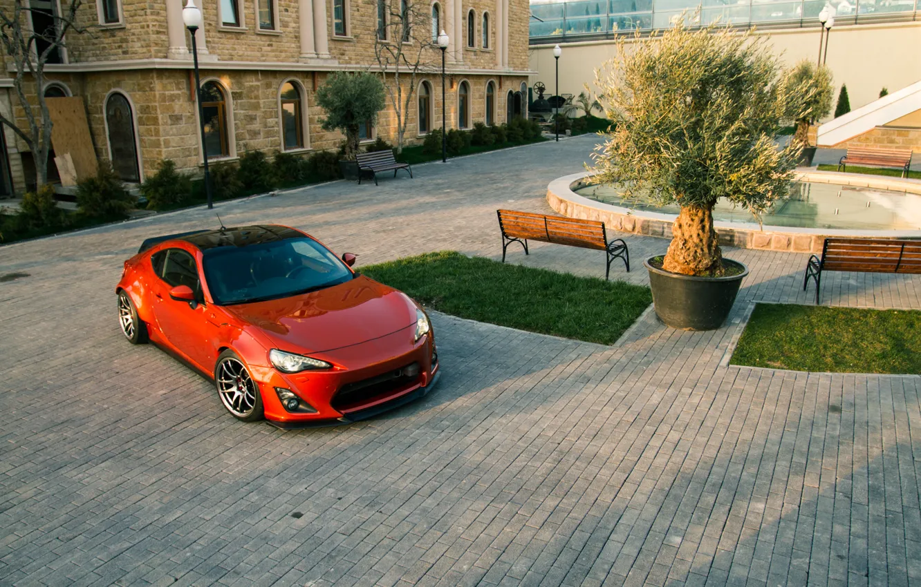 Photo wallpaper trees, top, Toyota, bunny, GT86, Rocket