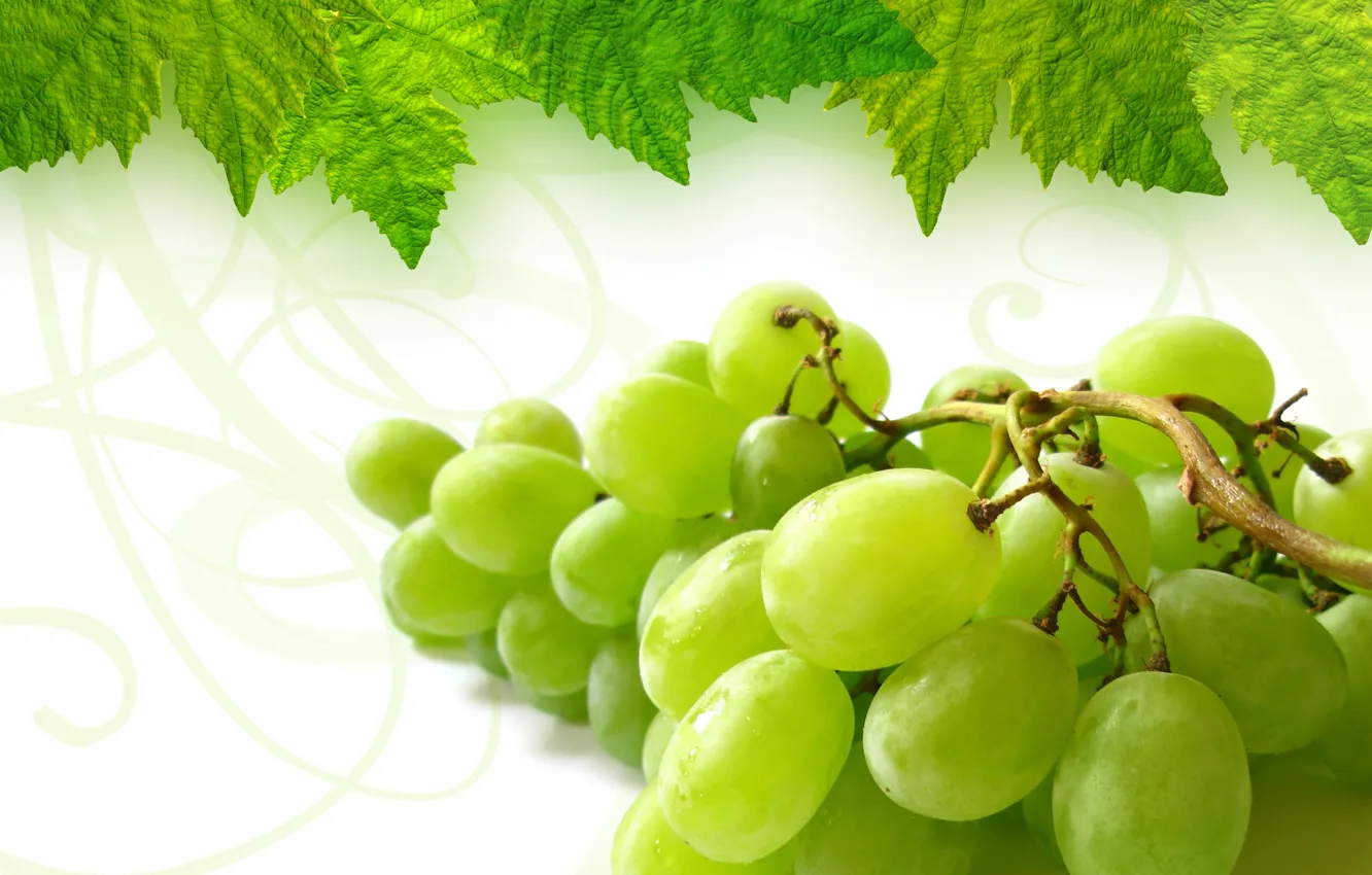 Photo wallpaper leaves, grapes, bunch