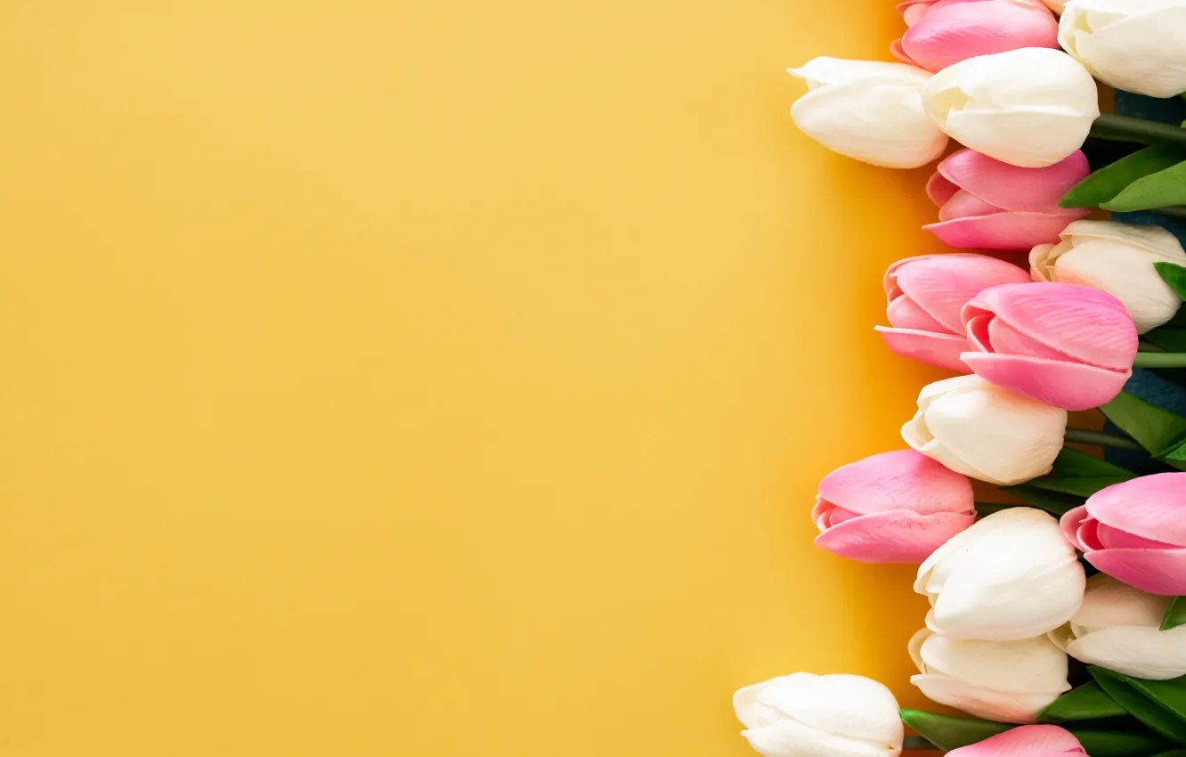 Photo wallpaper yellow, background, tulips