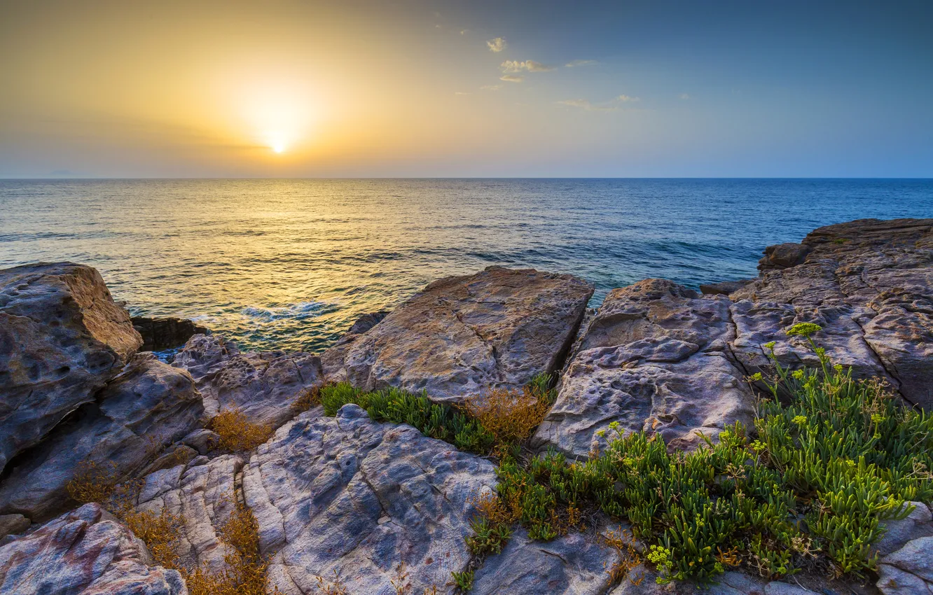 Photo wallpaper sea, the sky, grass, stones, coast, horizon, sun.dawn