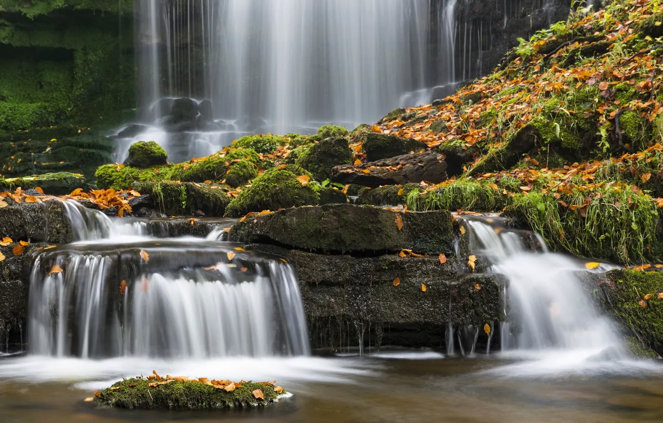 Photo wallpaper autumn, leaves, stones, England, waterfall, moss, England, North Yorkshire