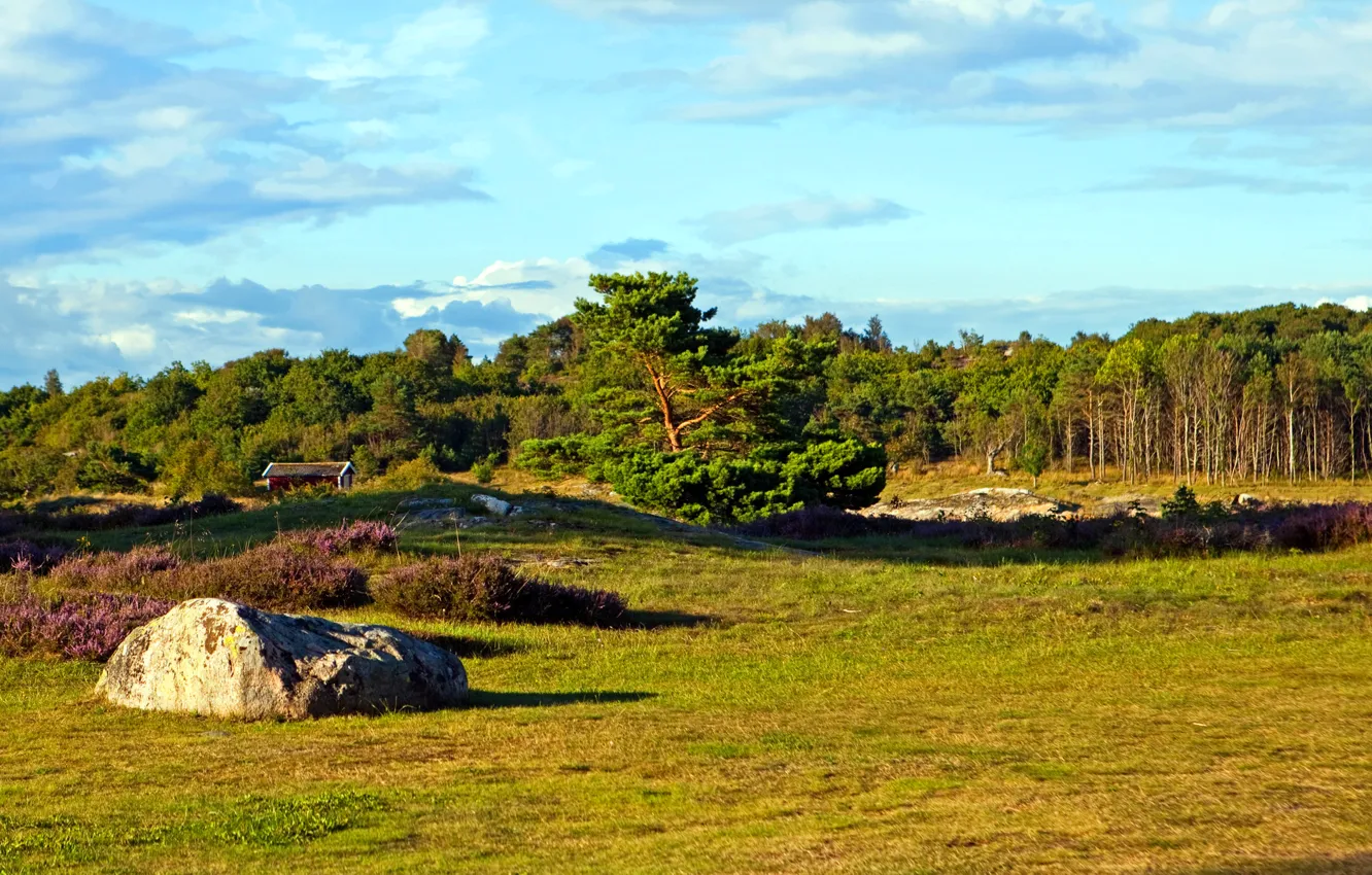 Photo wallpaper field, forest, the sky, grass, trees, stone, house, Sweden