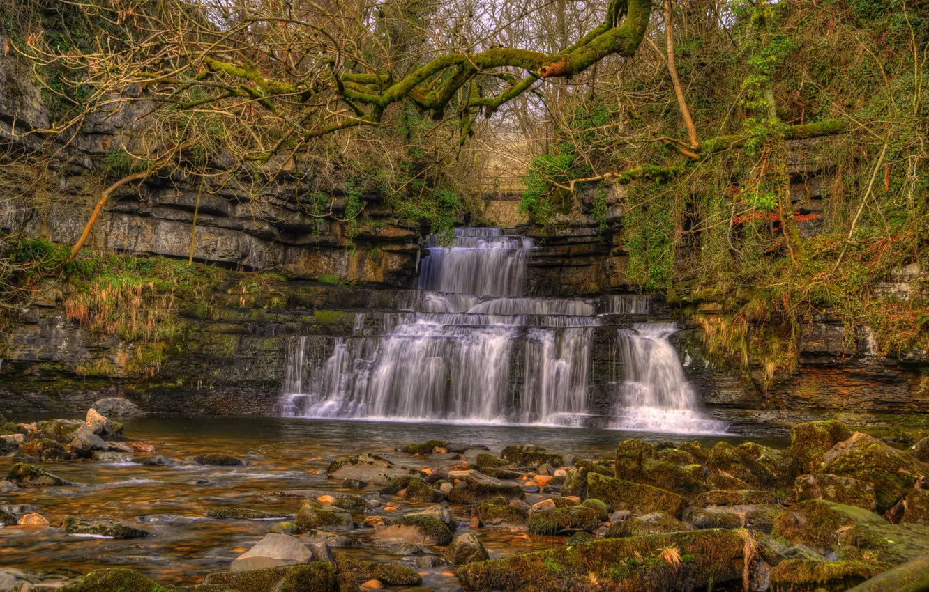 Photo wallpaper autumn, forest, trees, branches, stones, England, moss, HDR