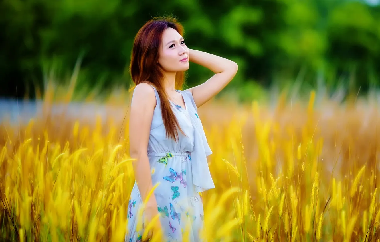 Photo wallpaper look, girl, Asian