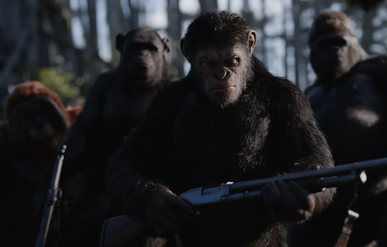 Photo wallpaper cinema, gun, monkey, forest, weapon, movie, gorilla, shotgun