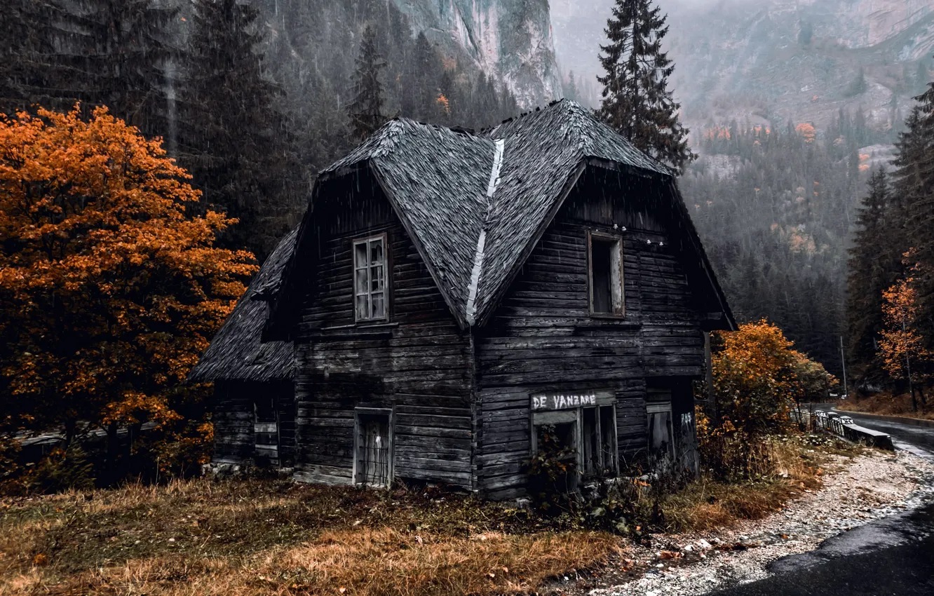 Photo wallpaper road, autumn, fog, house