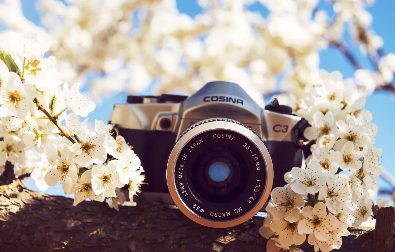 Photo wallpaper flowers, camera, the camera