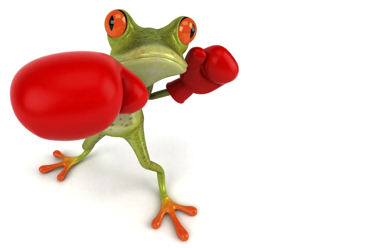 Photo wallpaper graphics, frog, Boxing, gloves, Free frog 3d