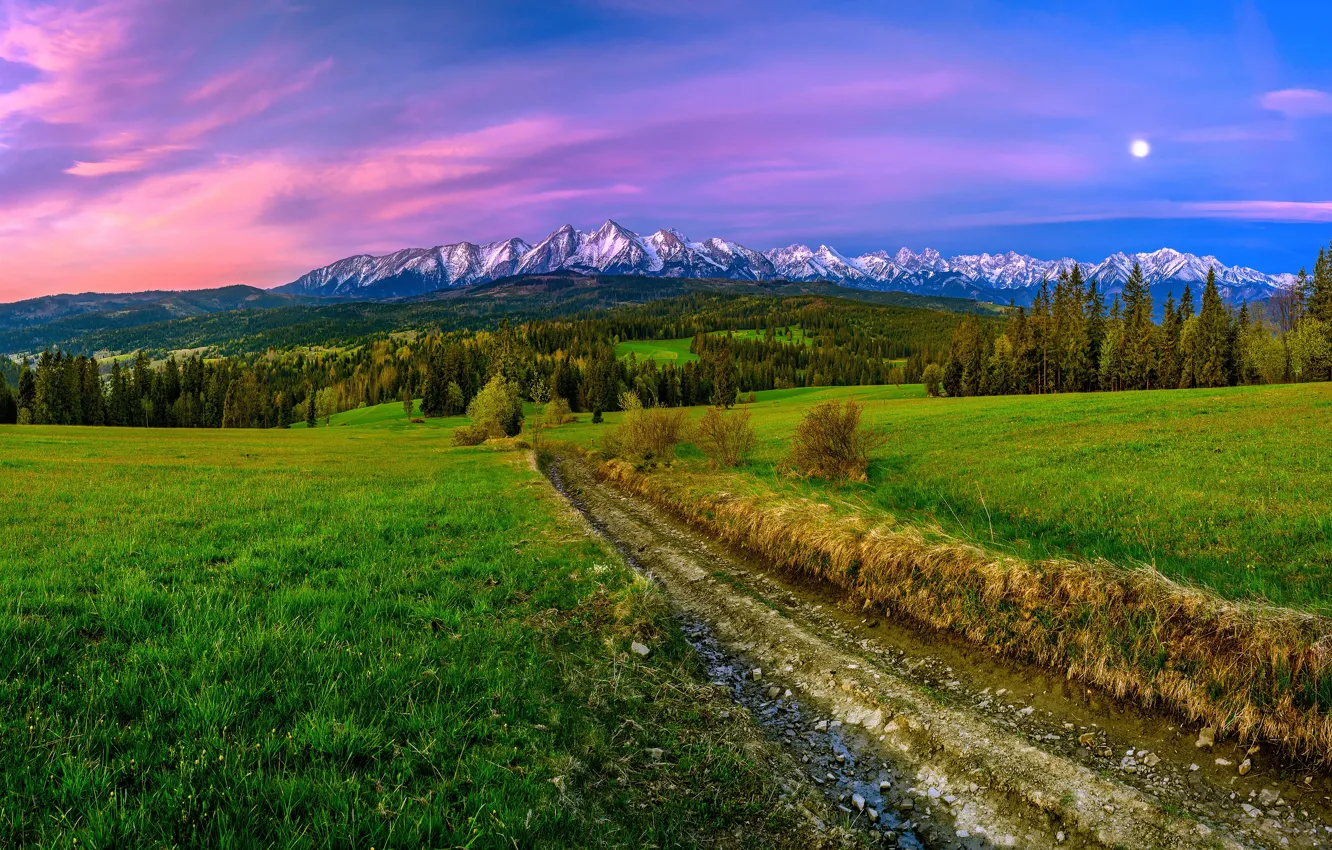 Photo wallpaper road, field, forest, mountains, the evening