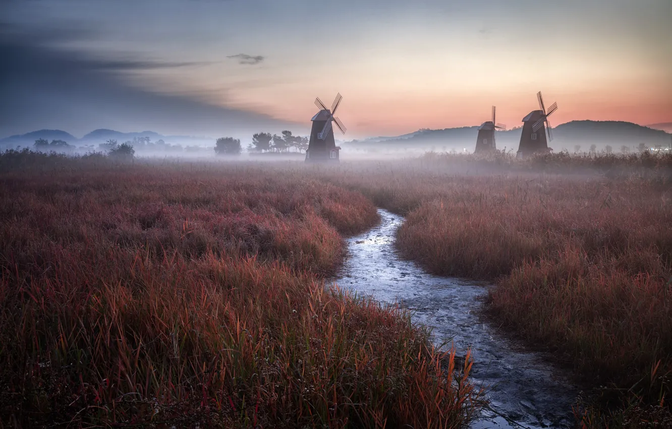 Photo wallpaper grass, twilight, Holland, sky, field, landscape, nature, sunset
