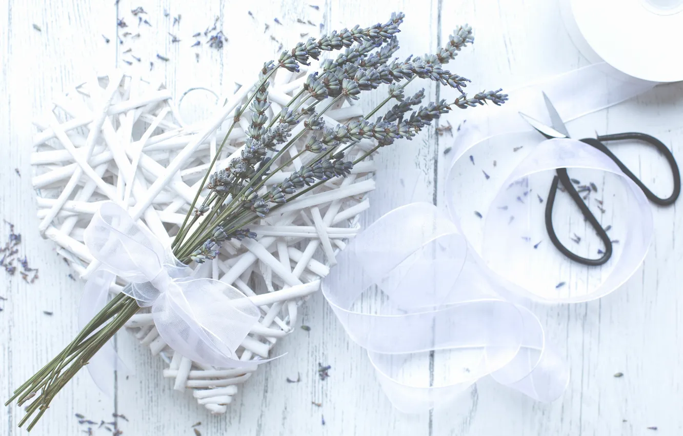 Photo wallpaper white, lavender, scissors