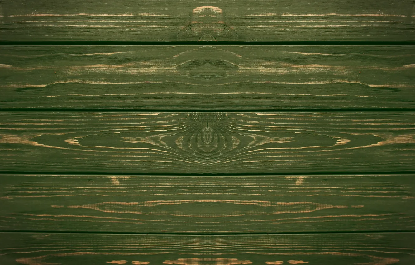 Photo wallpaper trees, symmetry, finish