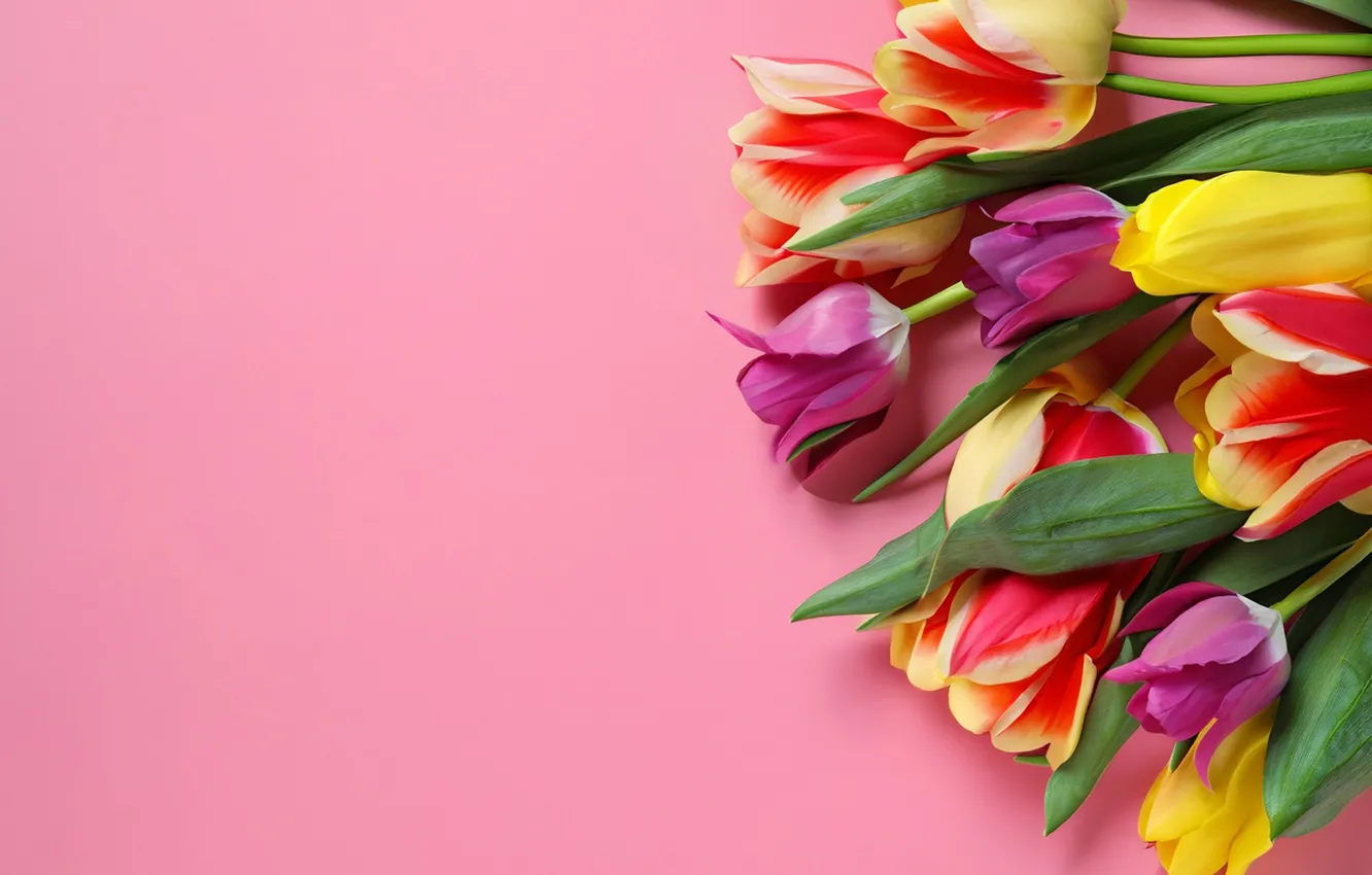 Photo wallpaper flowers, bouquet, colorful, tulips, flowers, tulips, spring, bouquet