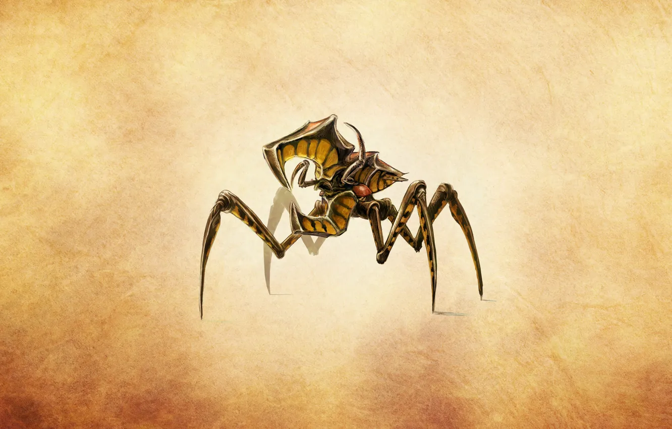 Photo wallpaper beetle, starship troopers, shifty from the movie, arachnids, starship troopers, arachnid