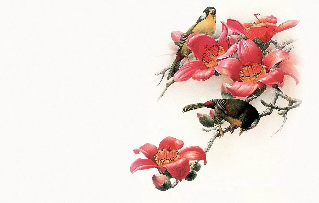 Photo wallpaper bird, minimalism, branch, East, master, art, painting