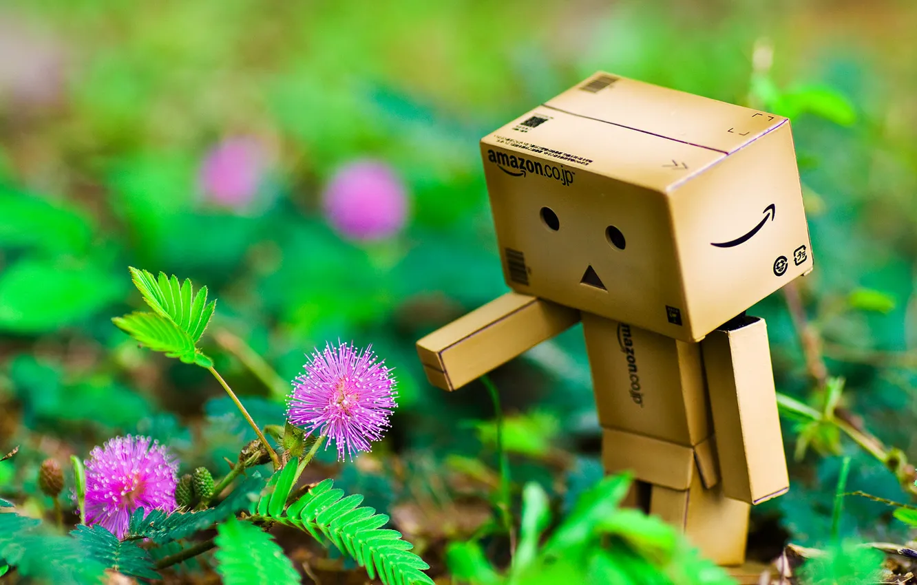Photo wallpaper flowers, hands, danbo