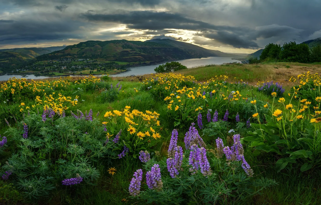 Photo wallpaper field, summer, the sky, clouds, flowers, mountains, clouds, river
